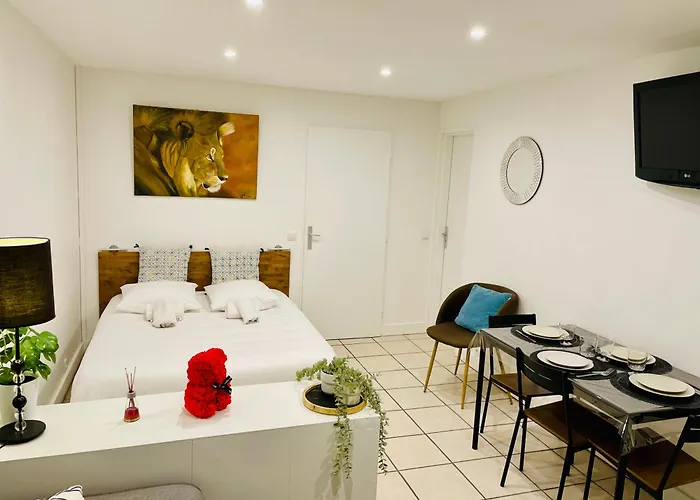 Studio Renove Au Calme Avec Terrasse Trouville
